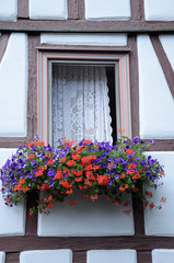 Blumenfenster in Lohr am Main