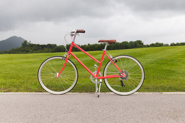 Fototapeta na wymiar Red bicycle in the garden