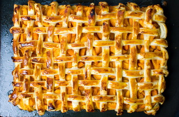 Homemade fruit sweet pie with golden crust