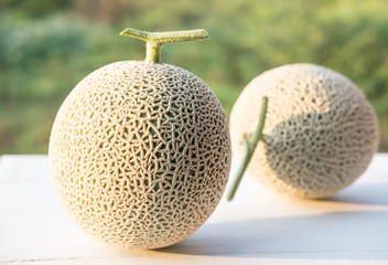 Fresh melon on white wooden with nature background , sunlight