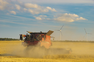 Combine harvester agriculture machine harvesting golden ripe wheat field  in light of the setting sun in Germany