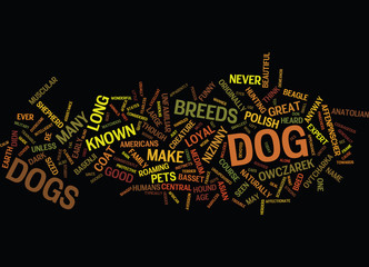 LESSER KNOWN DOG BREEDS Text Background Word Cloud Concept