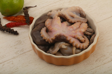 Raw octopus