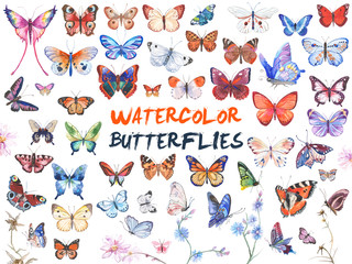 Watercolor butterflies illustration - obrazy, fototapety, plakaty
