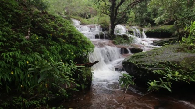 Waterfall Wimanthip Bungkan Thailand  