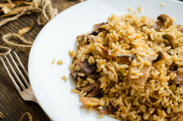 Homemade traditional Italian mushroom risotto