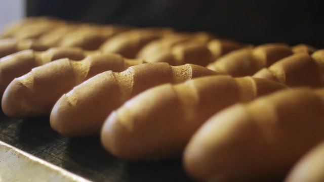 Bakery products. Bread production process at food factory. Baked bread on production line. Loaves of bread on production line. Bread manufacturing line. Food processing plant. Food industry