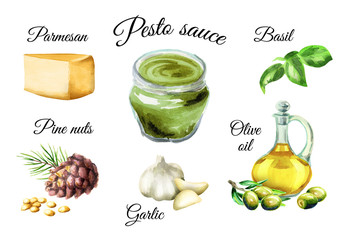 Pesto sauce ingredients. Watercolor  illustration