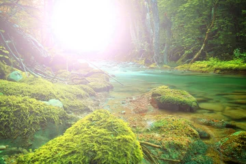 Foto auf Acrylglas Mystischer Bergfluss © Željko Radojko
