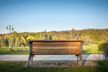 Bench on a sidewalk of a green garden