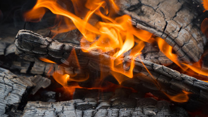 fire: burning wood and smoldering embers.