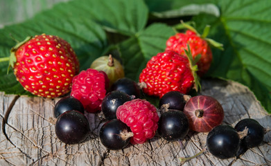 Naklejka na ściany i meble Still life of fresh ripe raspberries, strawberries, gooseberries, black currants on a wooden vintage background with a green leaf