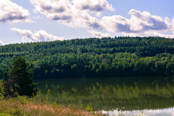 Seeufer im Sommer