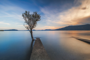 Fototapeta na wymiar Alone alive tree is in the flood of lake at sunset scenery