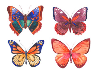 Naklejka na ściany i meble Watercolor butterflies illustration