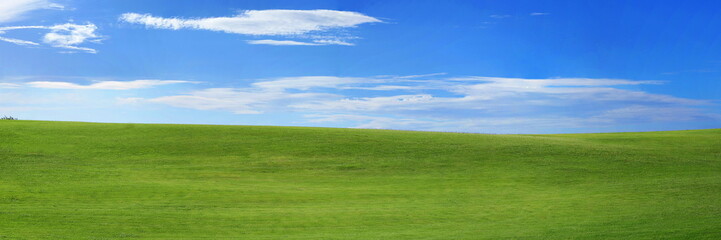 Panorama of the landscape - green grass and blue sky with small clouds