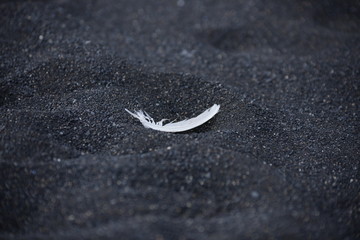 Feather