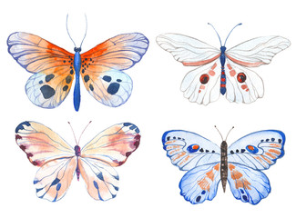 Watercolor butterflies illustration