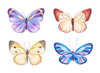 Fototapeta na wymiar Watercolor butterflies illustration