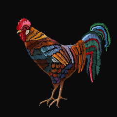 Embroidery rooster. Embroidery beautiful male rooster template for clothes, textiles, t-shirt design