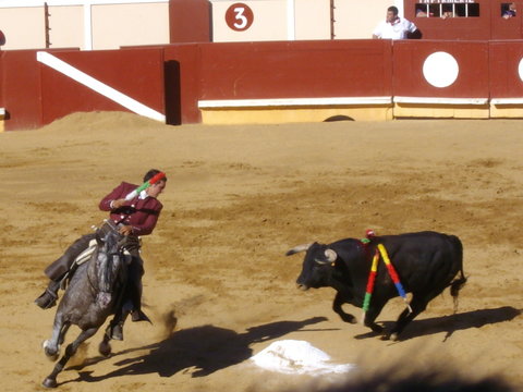 Corrida