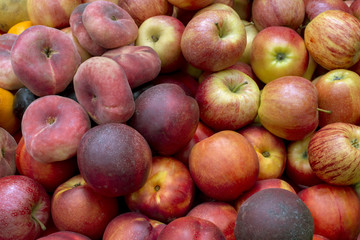 close view of different fresh fruits