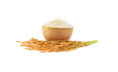 Thai Jasmine rice  in wooden bowl and yellow paddy rice isolated on white background
