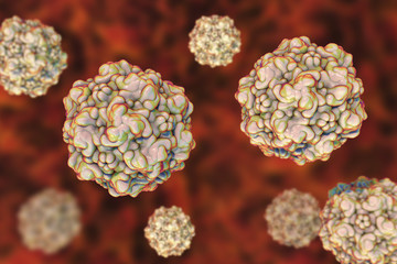 Feline panleukopenia virus, also called as feline infectious enteritis virus or cat plague. 3D illustration © Dr_Microbe