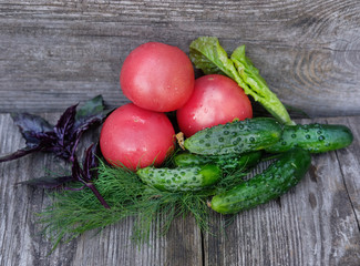 cucumbers, tomatoes,lettuce, Basil,onion, fennel on the Board