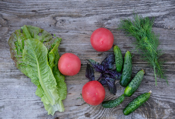 cucumbers, tomatoes,lettuce, Basil, dill on the Board