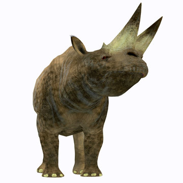 Arsinoitherium Mammal on White - Arsinoitherium was a herbivorous rhinoceros-like mammal that lived in Africa in the Early Oligocene Period.