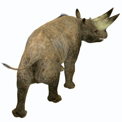 Fototapeta premium Arsinoitherium Mammal Tail - Arsinoitherium was a herbivorous rhinoceros-like mammal that lived in Africa in the Early Oligocene Period.