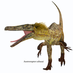 Fototapeta premium Austroraptor Dinosaur on White with Font - Austroraptor was a carnivorous theropod dinosaur that lived in Argentina in the Cretaceous Period.