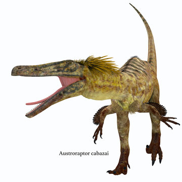Austroraptor Dinosaur on White with Font - Austroraptor was a carnivorous theropod dinosaur that lived in Argentina in the Cretaceous Period.