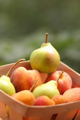 Pears and peaches in a wooden basket