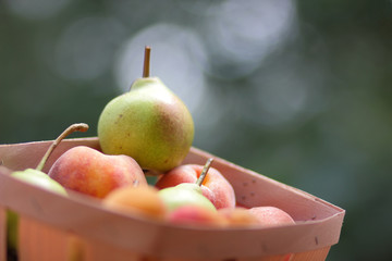 Pears and peaches in a wooden basket