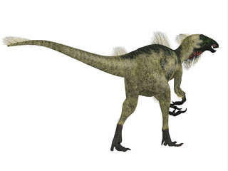 Beipiaosaurus Dinosaur Tail - Beipiaosaurus was a herbivorous theropod dinosaur that lived in China in the Cretaceous Period.