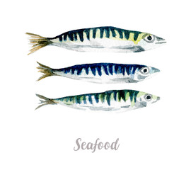 Watercolor hand drawn fish. Isolated fresh seafood illustration on white background