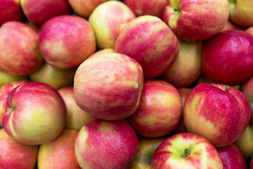Fototapeta na wymiar Red apples on the market