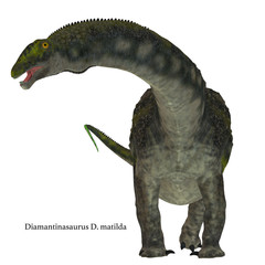 Diamantinasaurus Dinosaur on White with Font - Diamantinasaurus was a herbivorous sauropod dinosaur that lived in Australia during the Cretaceous Period.