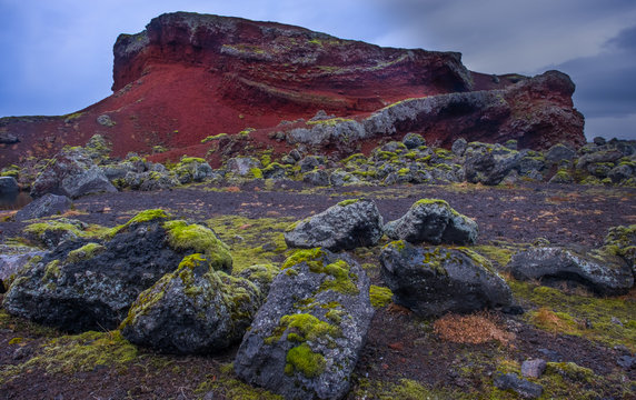 Red lava field outside Reykjavik, Iceland