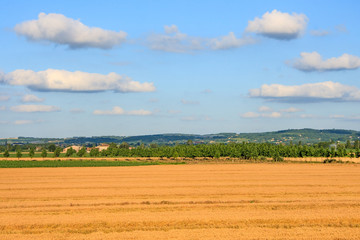Obraz premium French Summer Landscape