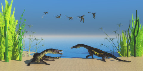 Nothosaurus Reptile Beach - A flock of Peteinosaurus flying reptiles watch as two Nothosaurus dinosaurs growl at each other on a Triassic beach. © Catmando