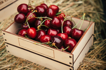 Tasty red cherry berries
