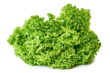 fresh green and raw Lettuce isolated on white background