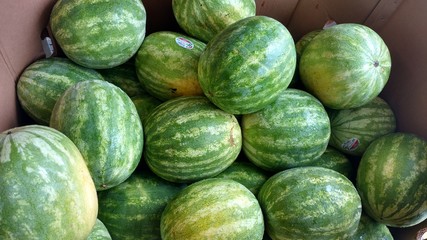 Watermelon