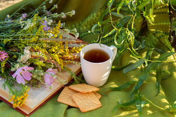 reading a book on a summer evening
