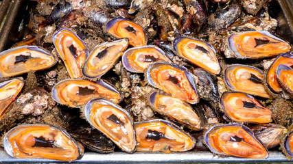 mussels at the fish shop