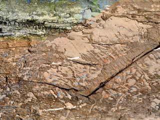 rötlicher Holzhintergrund, Holztextur