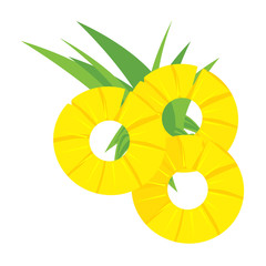 Pineapple slice vector